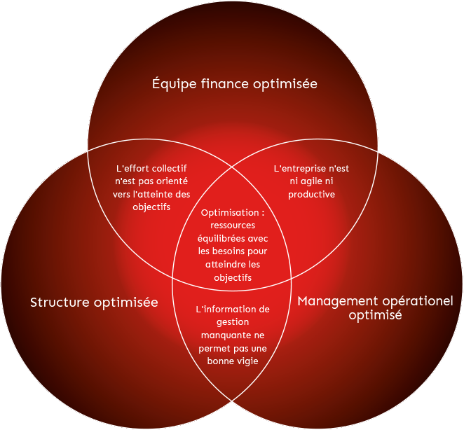 Le modèle d'intelligence organisationnelle